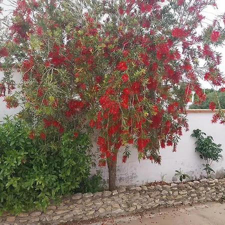 Holiday home Casa Montemar *